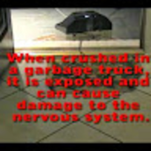 Meet the Posher Other - Meet your Posher, Chris